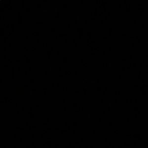 Meet your Posher, Ali